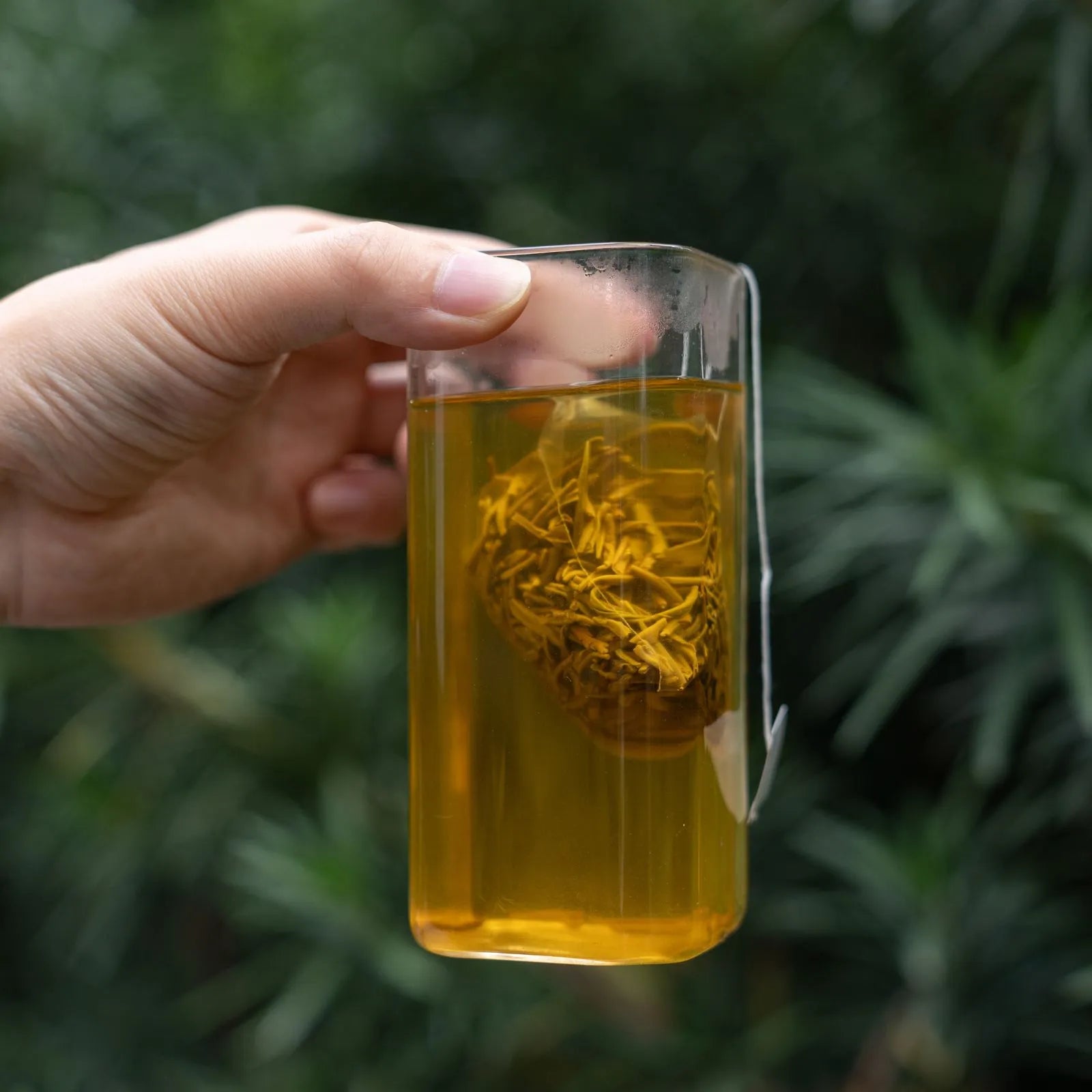 Jasmine Bai Hao | Traditional 9-Scent Jasmine Green Tea – Fresh, Abundant Floral Aroma with a Sweet, Smooth, Lasting Aftertaste | 1000m High Mountain Tea from Heng County, Guangxi | Summer Harvest July 2024 | 3.5oz (100g) - Top Choice of Jasmine Green Tea