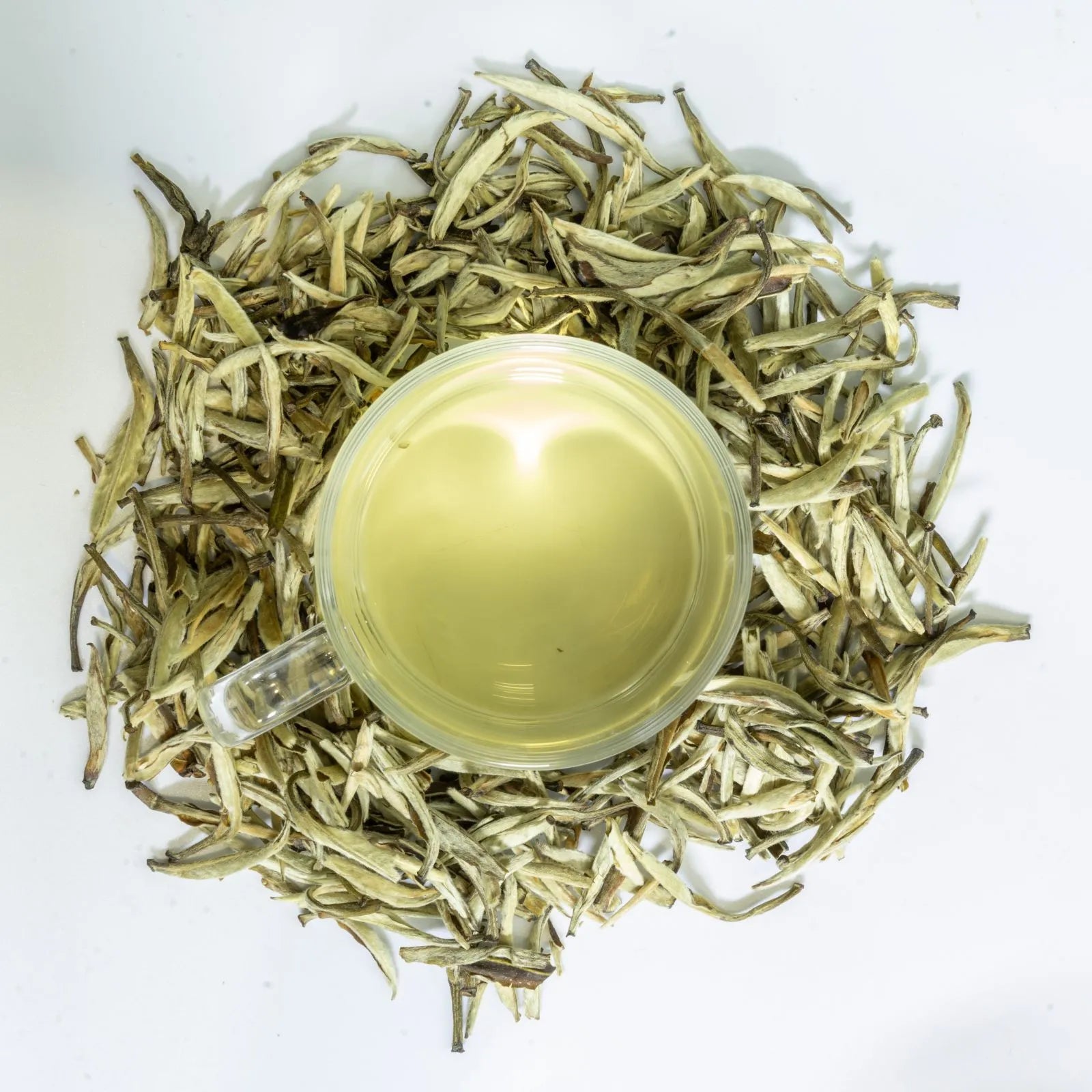 Jasmine Zhen Wang | Traditional 7-Scent Jasmine Tea (Pure buds) – Fresh, Intense Floral Aroma with Smooth, Sweet | 1200m High Mountain Tea from Heng County, Guangxi | July 2024 Autumn Tea | 3.5oz (100g) - Tasting Grade For Afternoon