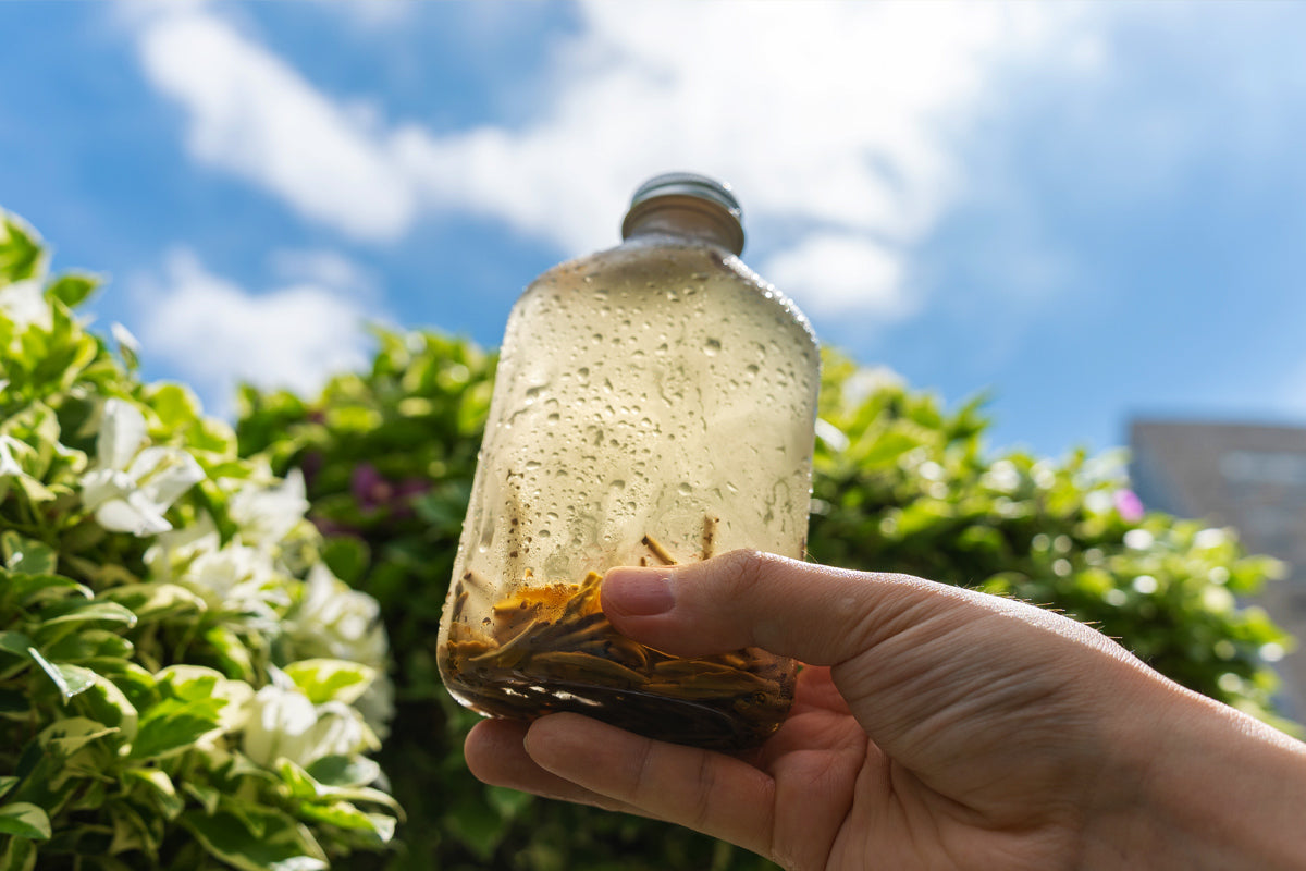 Best Loose Leaf Tea for Iced Tea