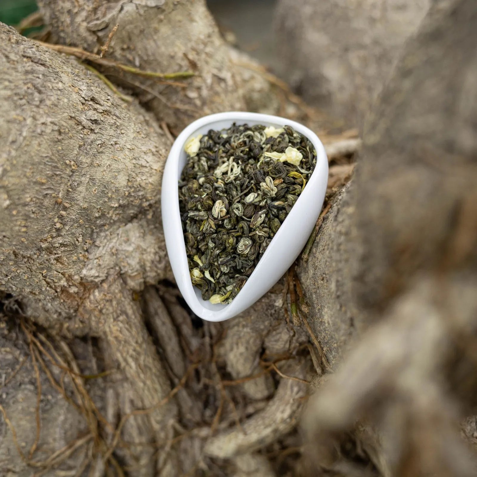 Jasmine Bi Luo Chun | Traditional 3-Scent Jasmine Green Tea (One Bud with Two Leaves) – Subtle Floral Aroma, Mild Flavor, Handpicked from 2000m High Mountains in Heng County, Guangxi | Summer Harvest June 2024 | 3.5oz (100g) For Afternoon