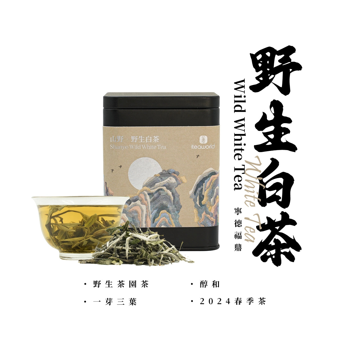 Limited Time Offer: New Wild Tea & Jasmine Tea & Oolong Tea & Tea Sampler Sets