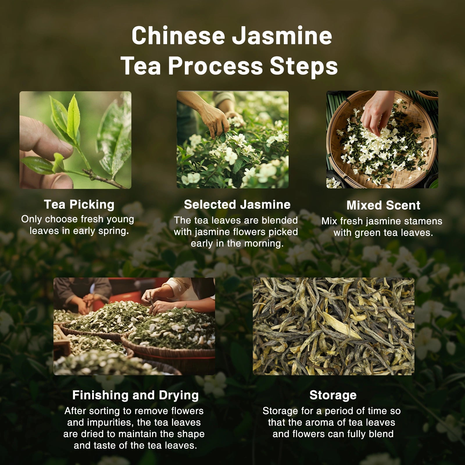 Sweet, Smooth Jasmine Yunnan Black Tea - Traditional 3-Scent Jasmine Black Tea with Rich Jasmine Fragrance | 1600m Fengqing Mountain High Fermentation Jasmine Black Tea | 3.5oz (100g) For Afternoon