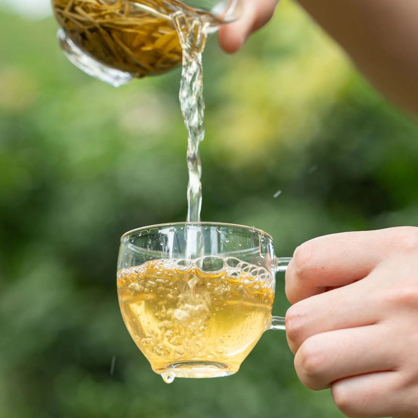 Jasmine Mao Jian | Traditional 5-Scent Jasmine Green Tea (One Bud with Two Leaves) – Pure Floral Fragrance, Rich and Sweet with Refreshing Aftertaste | Summer Harvest July 2024 from 1000m in Heng County, Guangxi | 3.5oz (100g) For Afternoon