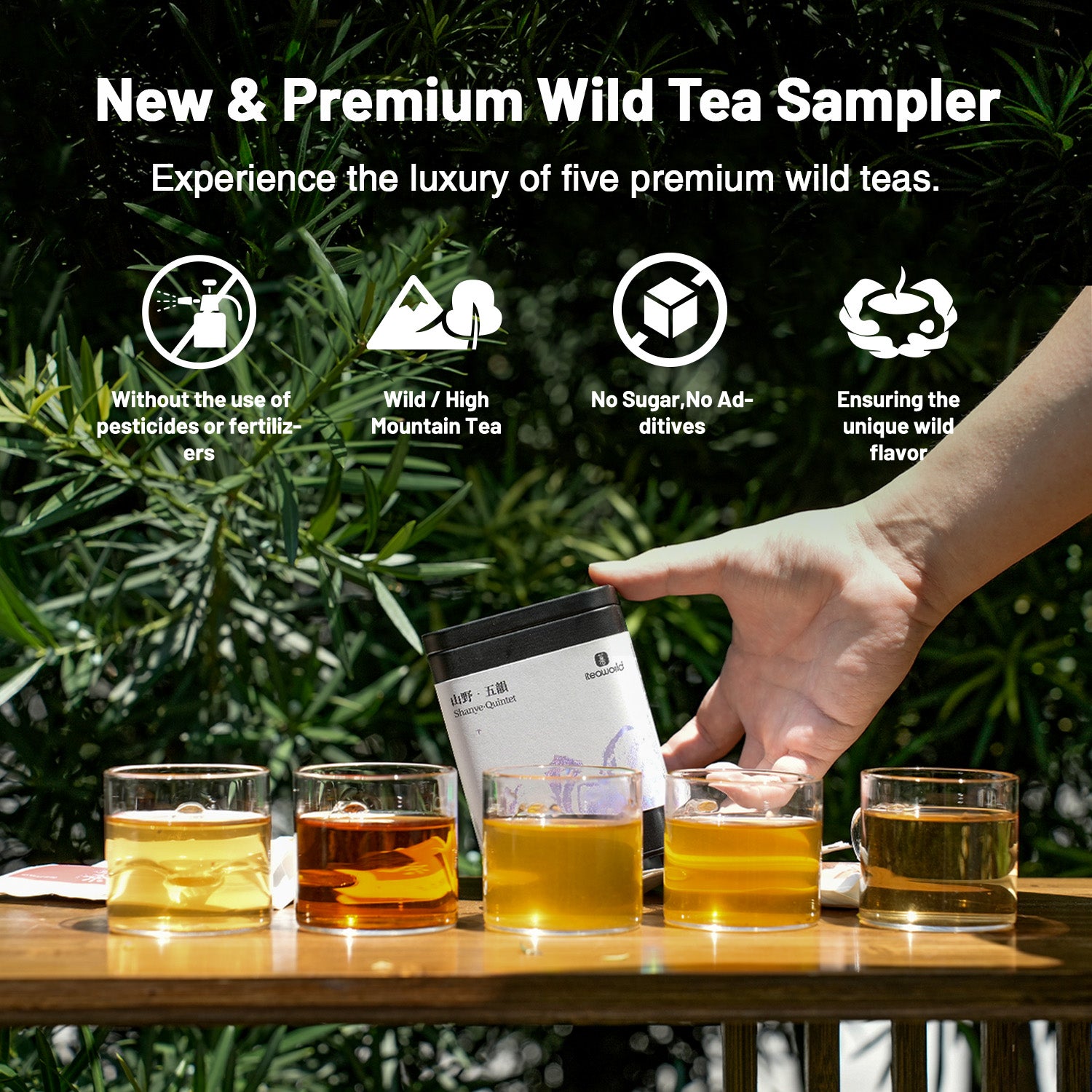 Chinese Wild Tea Sampler: $ 5 USD The Super Surprise Collection with 5 Unique Wild Flavors