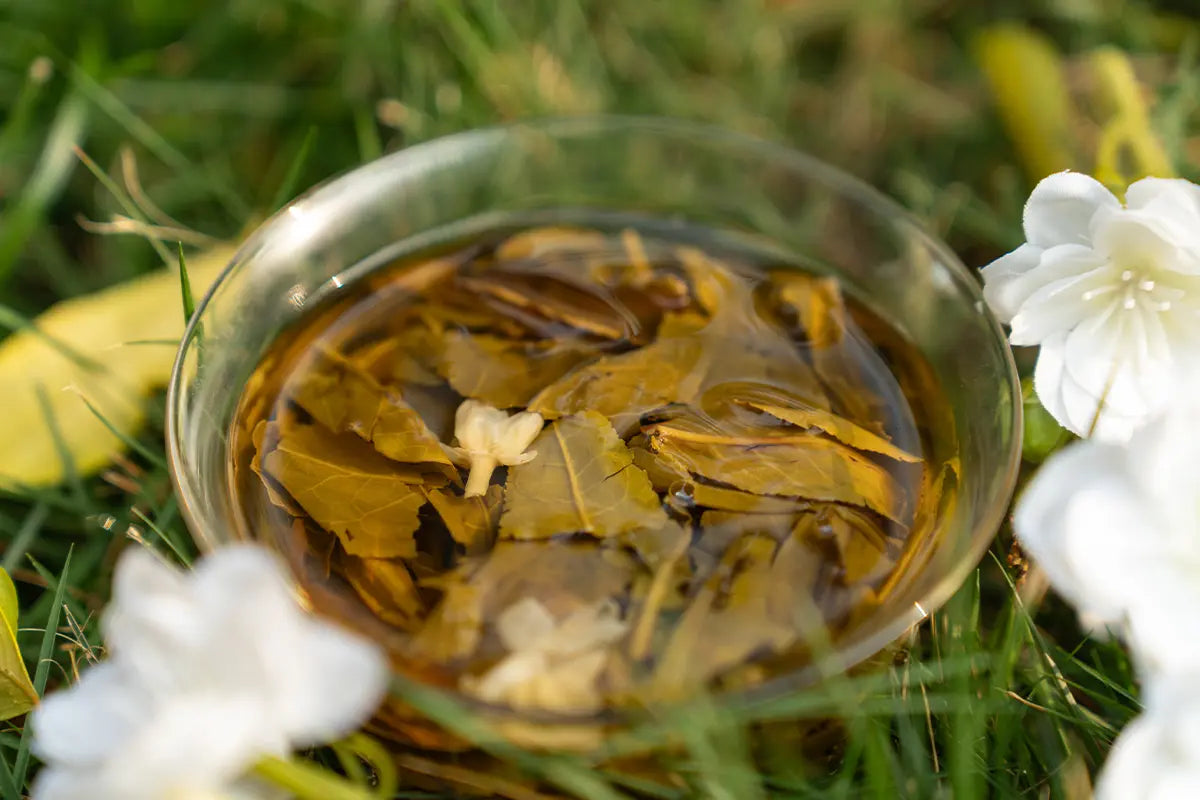 Chinese Jasmine Tea