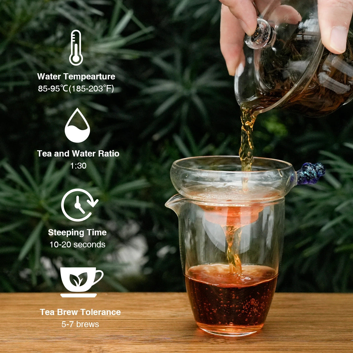 Organic Wild Gongfu Black Tea | Floral Aroma, Sweet & Brisk| 50-Year-Old Trees - 900m High Daming Mountain | Light Fermentation  (40G/80G) For Morning