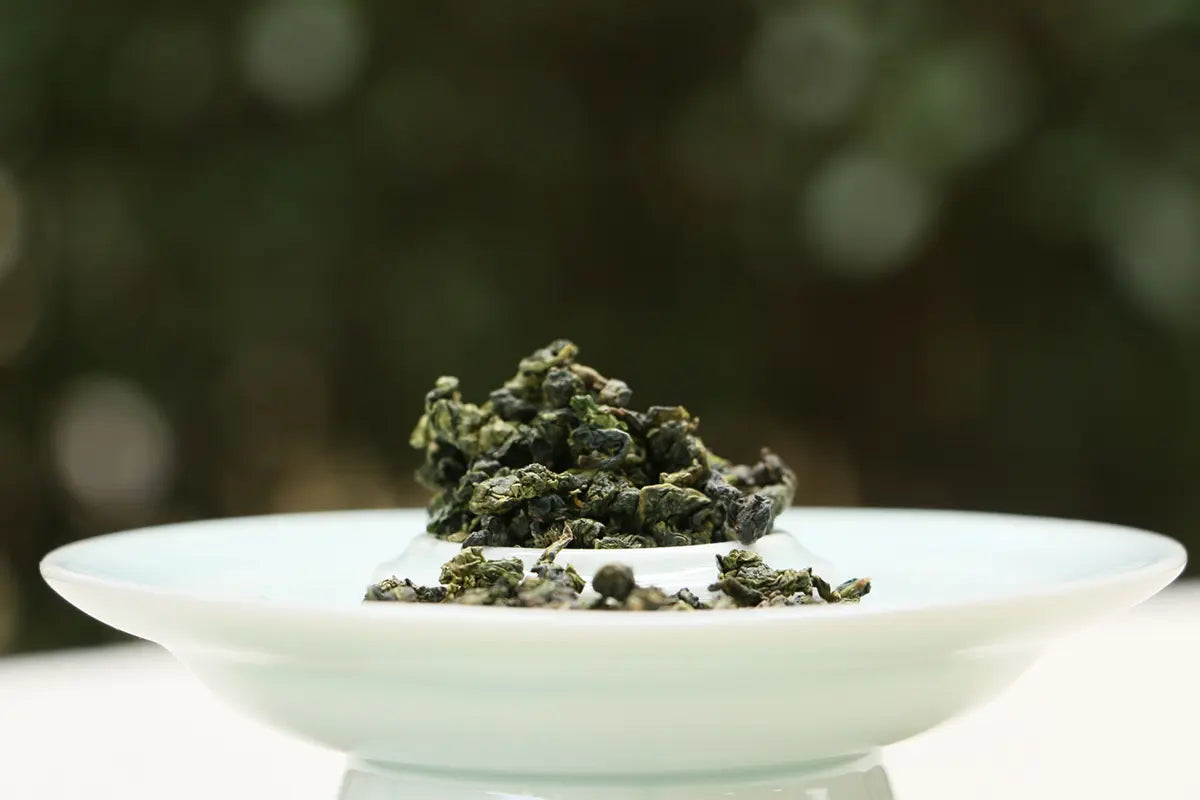 buy tieguanyin