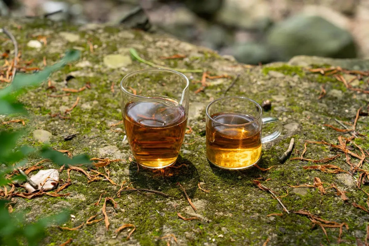 The Secret of Chinese Wild Tea