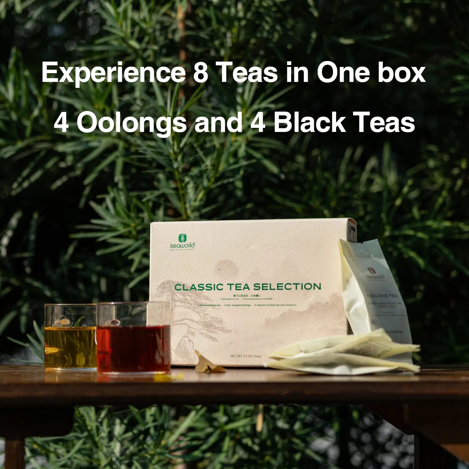 classic tea sampler