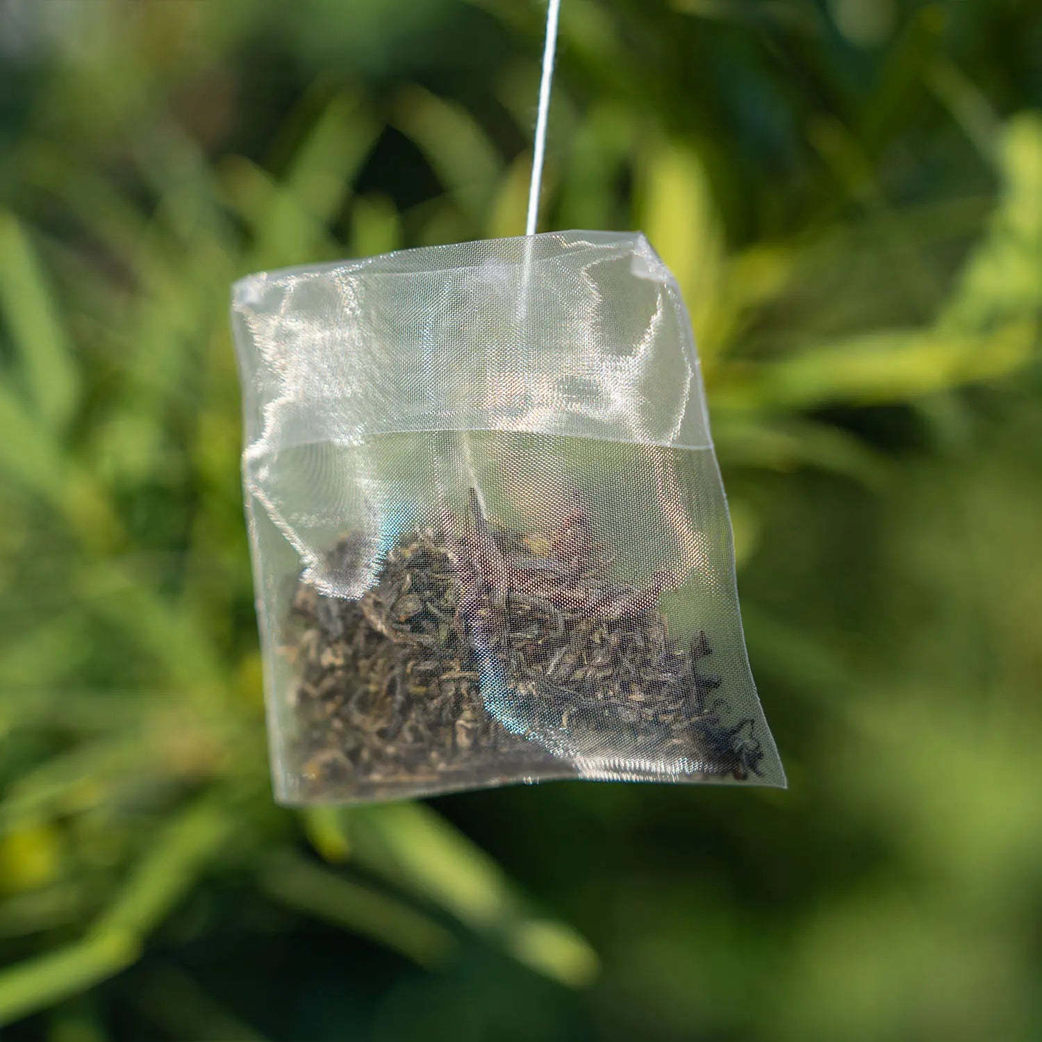 Eco Friendly Tea Bags