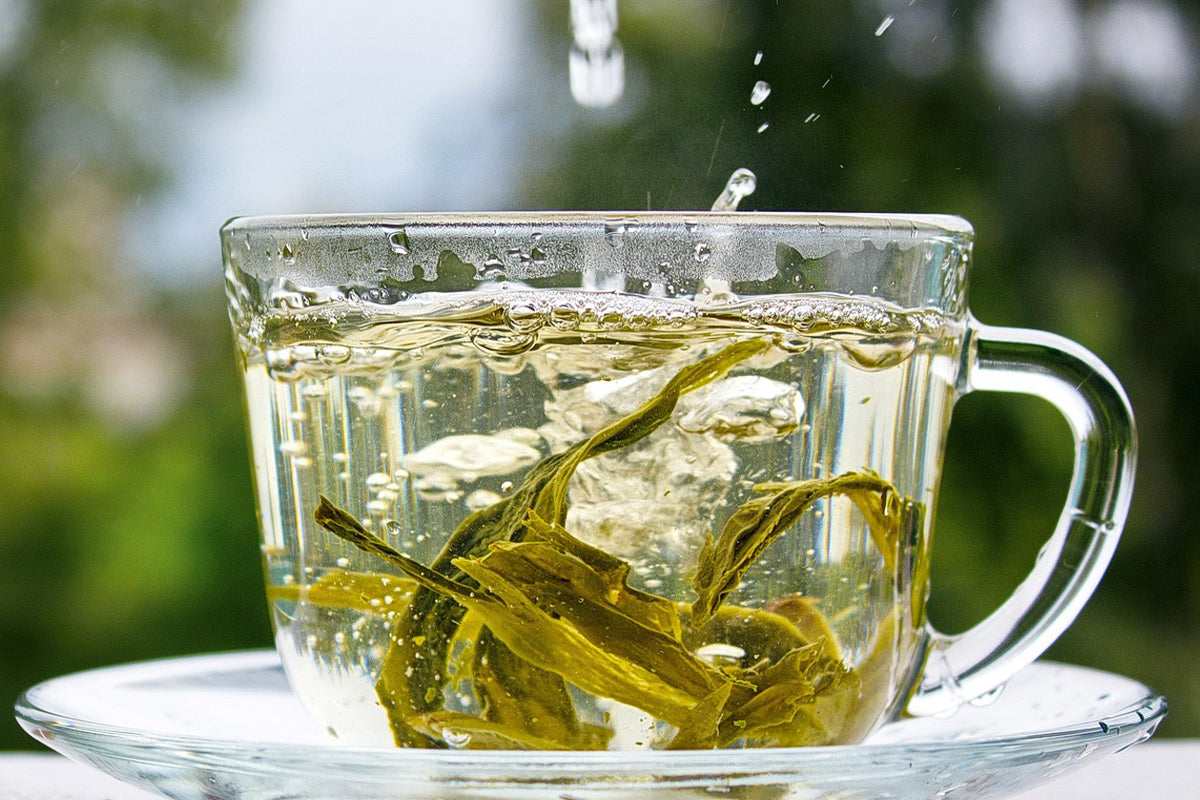 green-tea-brewing-method-iteaworld