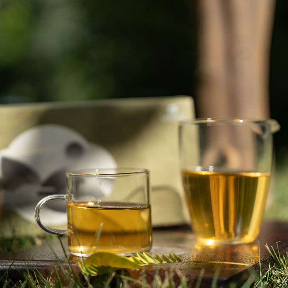 Chinese Green Tea Sampler