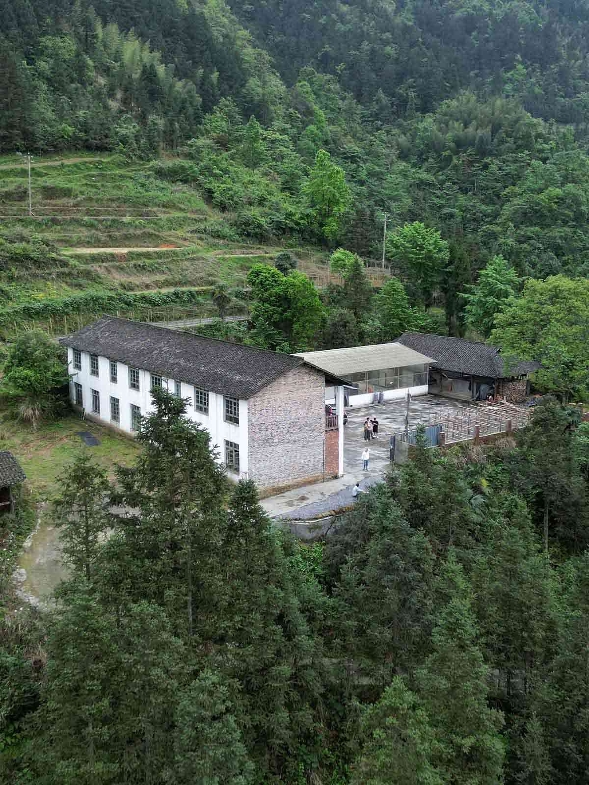 iTeaworld chinese tea Factory 