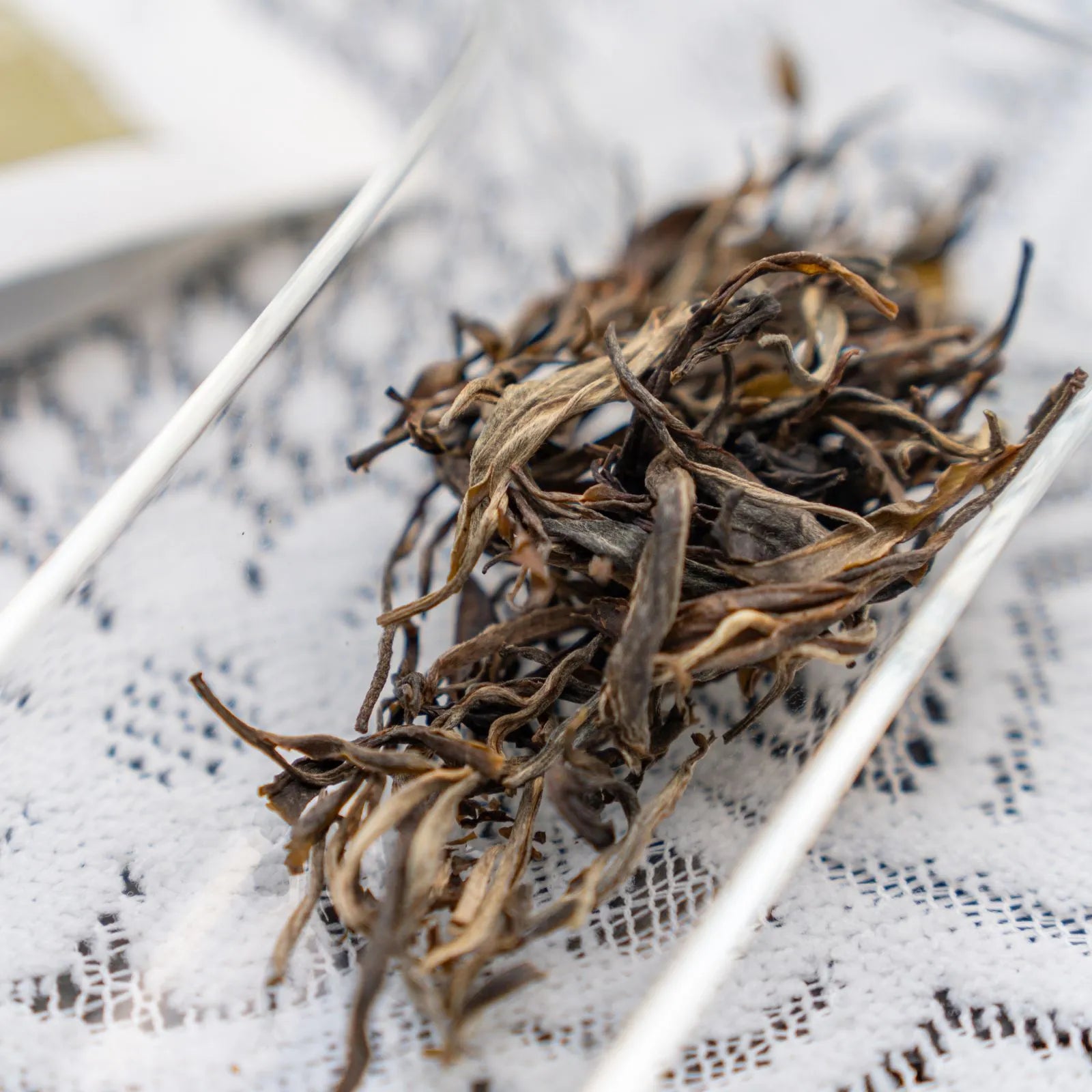 Premium Mellow, Sweet Old Tree Chinese Green Tea (one bud with two to three leaves) – Handpicked from 50-Year-Old Trees at 1600m, Mengku  Lincang Yunnan | April 2024 Harvest, 3.5oz (100g) - High Value Choice