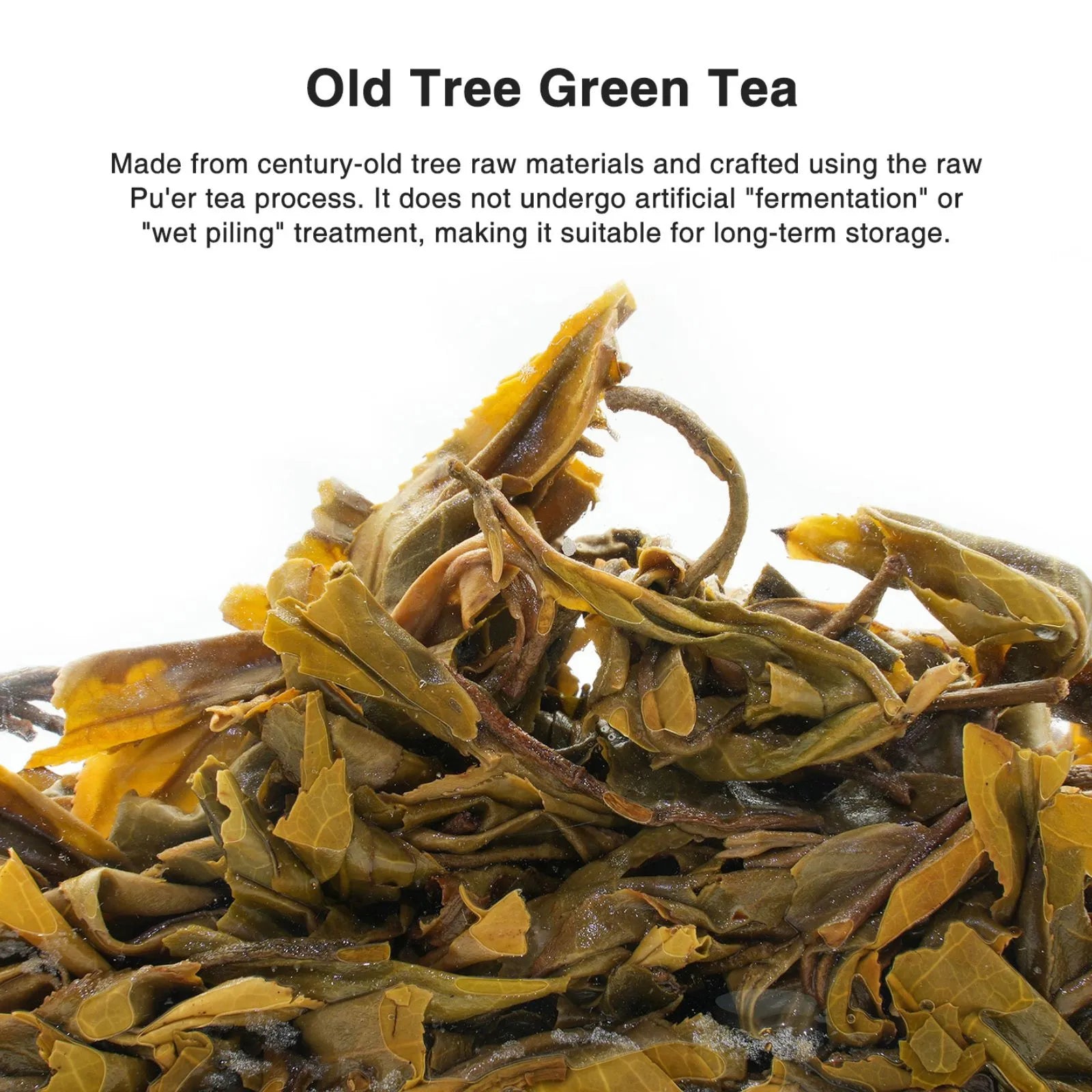 Premium Mellow, Sweet Old Tree Chinese Green Tea (one bud with two to three leaves) – Handpicked from 50-Year-Old Trees at 1600m, Mengku Lincang Yunnan | April 2024 Harvest, 3.5oz (100g) - High Value Choice