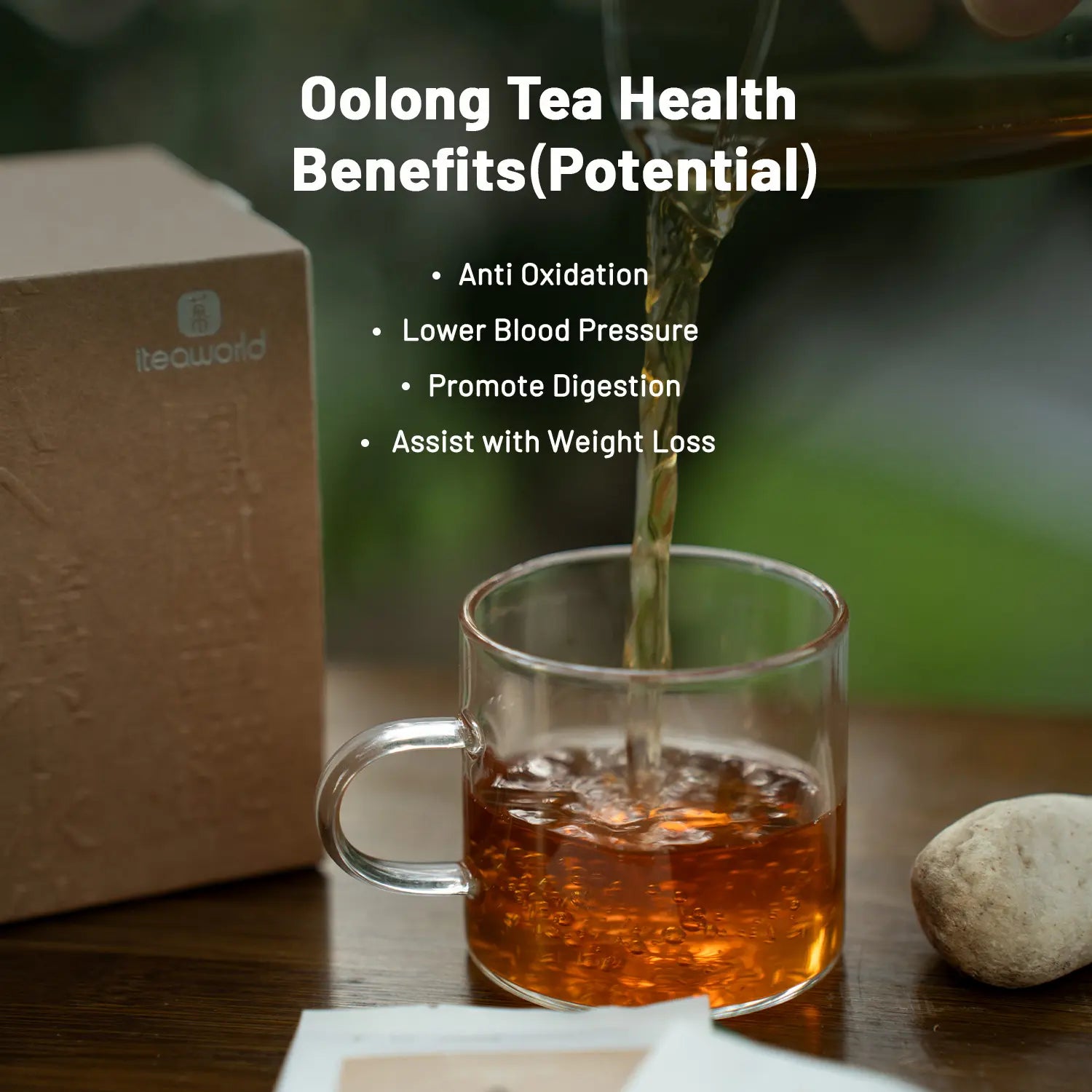 New Chinese Oolong Tea Sampler