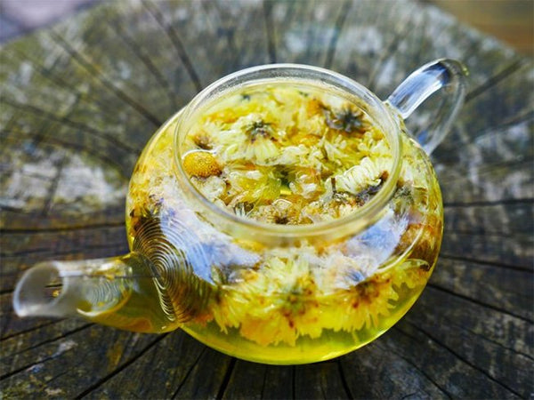 Chrysanthemum Tea