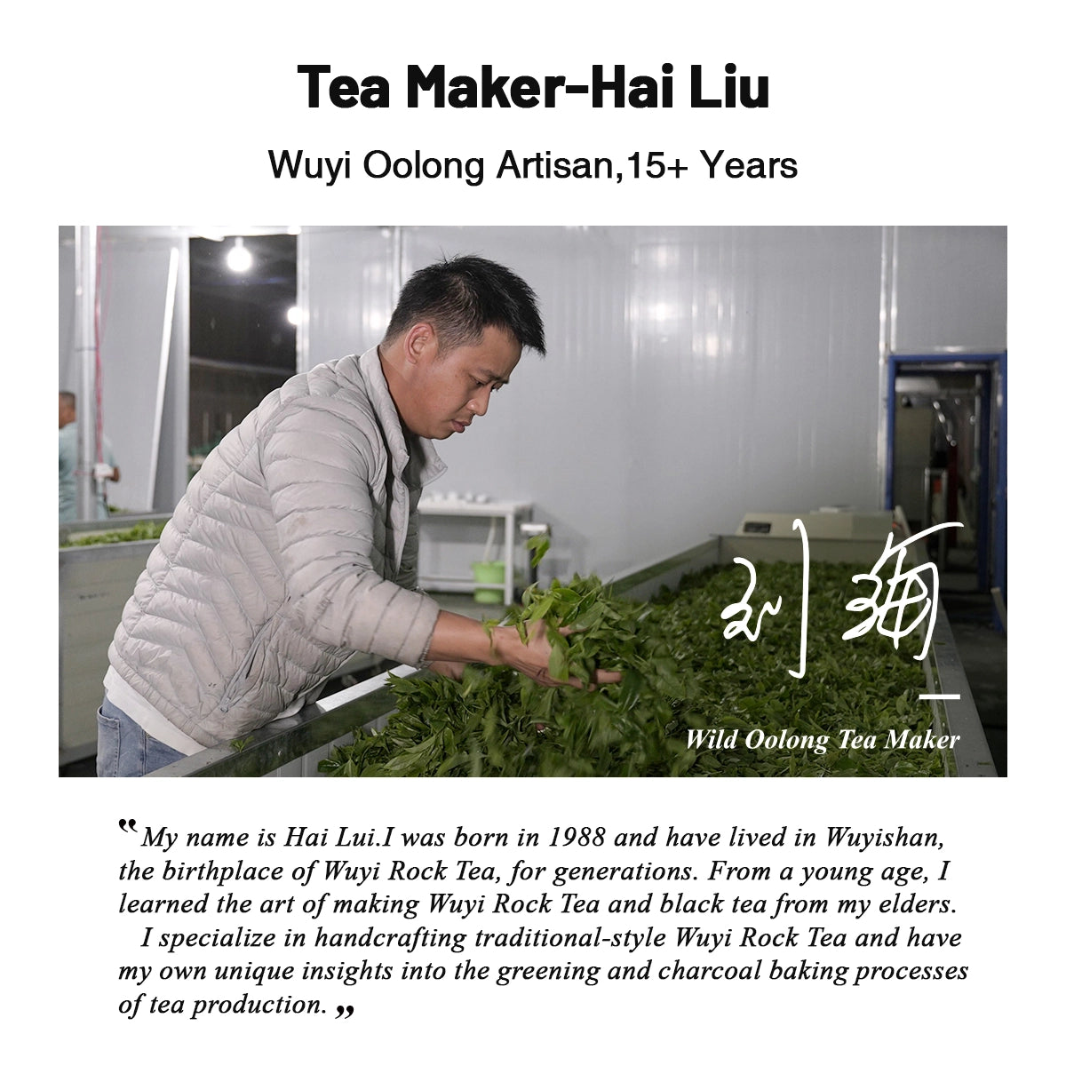 Chinese Wild Oolong Tea For After Meal